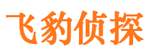 石城侦探公司